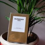 Burberry Hero Eau de Parfum 100ml