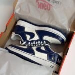 Nigo and Nikkes Air Force 1 Last Orgy 2