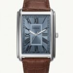 Fossi_il Carraway FS6078 Brown sky Blue Dial